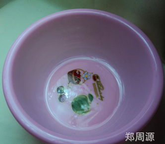 創新設計，源頭直供 探索2元新款塑料盆在家用與批發市場的無限潛力