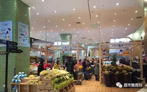 蘇寧精品超市蘇鮮生落戶成都，西南首家門店推動(dòng)日用百貨銷售新格局